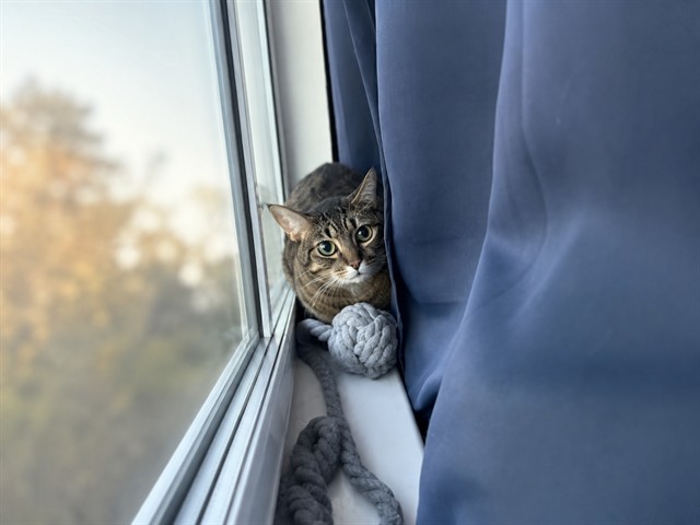 Precious