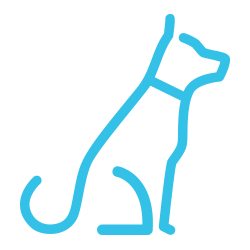 #animal_name# #animal_name#