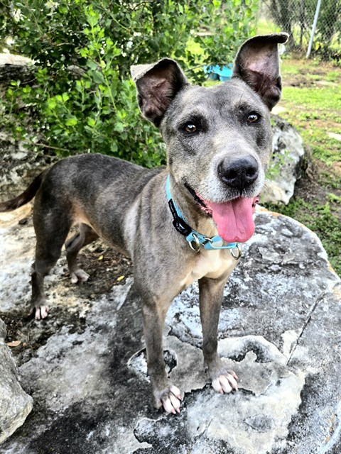 Dakota Evans Dakota Evans