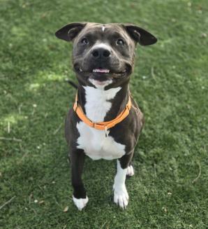 Mia
