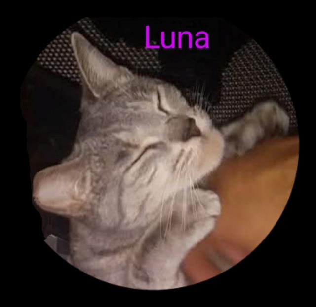 Luna