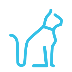 ASHOKA