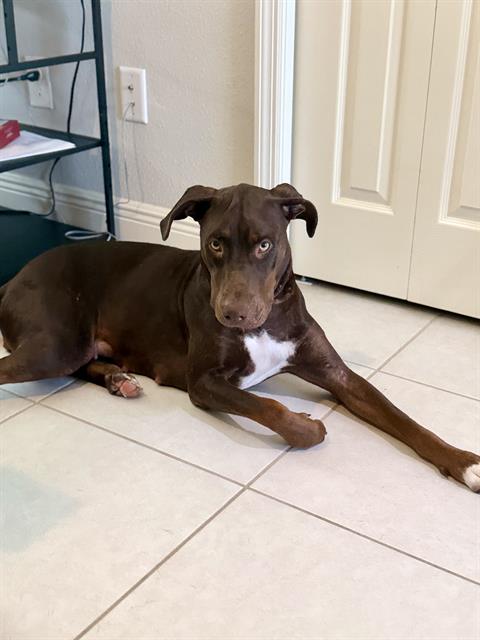 Coco