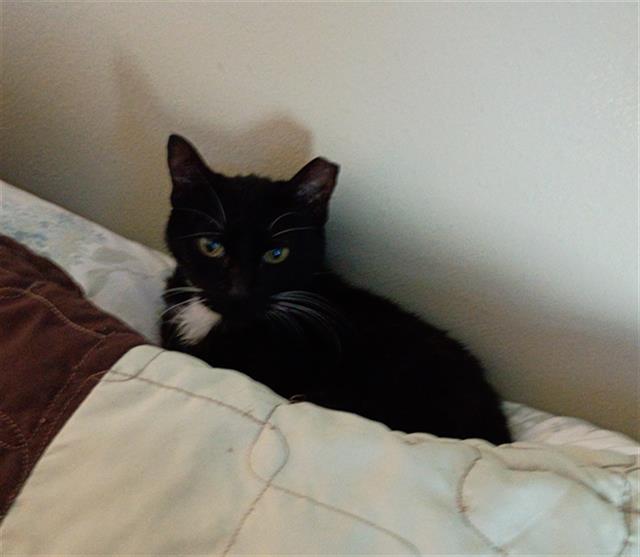 Willowdean Willowdean