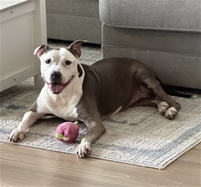 Maggie