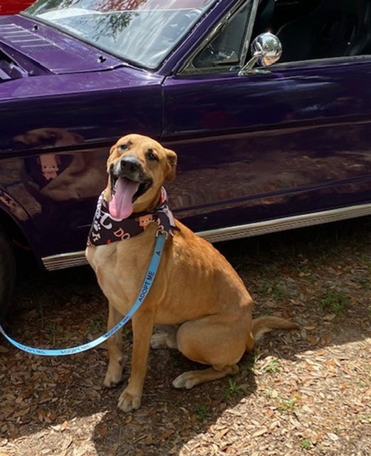Duke
